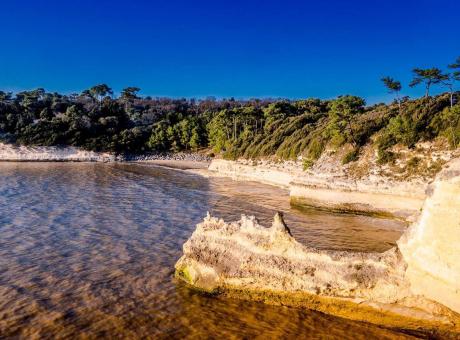 Côtes et falaises en bord de mer