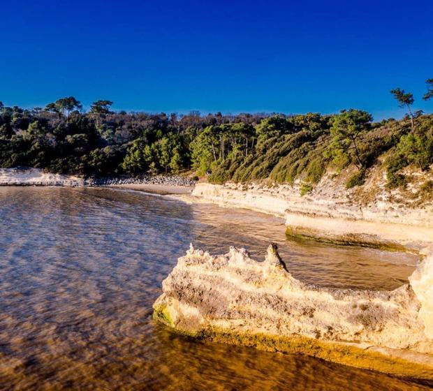 Côtes et falaises en bord de mer